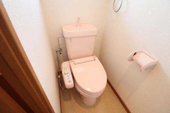 �y���̑��z�@�g�C��