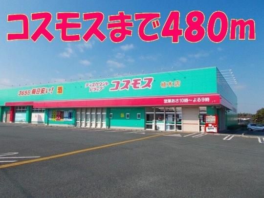 【周辺】　コスモス　植木店：480m