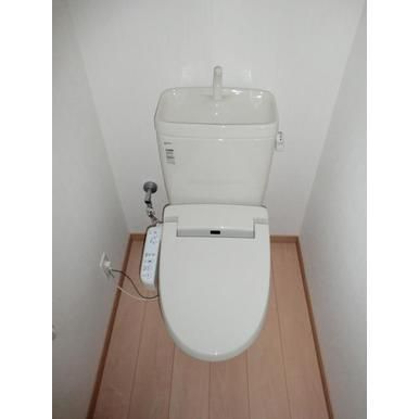 �y���̑��z�@�g�C��