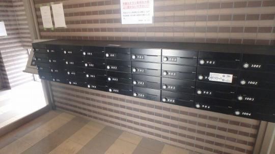 �y�����O�ρz�@���r�[