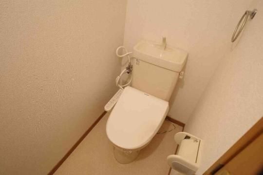 �y���̑��z�@�g�C��