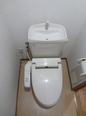 �y���̑��z�@�g�C��