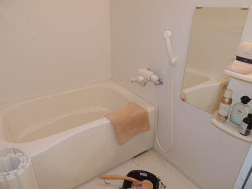 �y���̑��z�@�o�X�^�V�����[