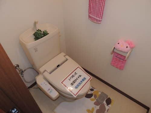 �y���̑��z�@�g�C��