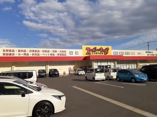 �y���Ӂz�@�X�[�p�[�L�b�h�c�䓇�X�F500m