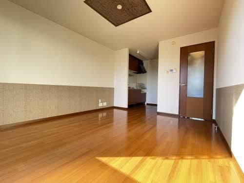 �y���̑��z�@���r���O