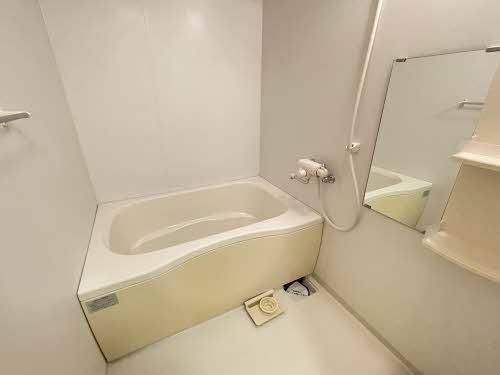 �y���̑��z�@�o�X�^�V�����[