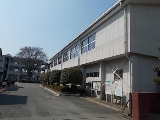 �y���Ӂz�@���؏��w�Z�F150m