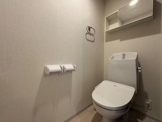 �y���̑��z�@�V�����[�t�g�C��