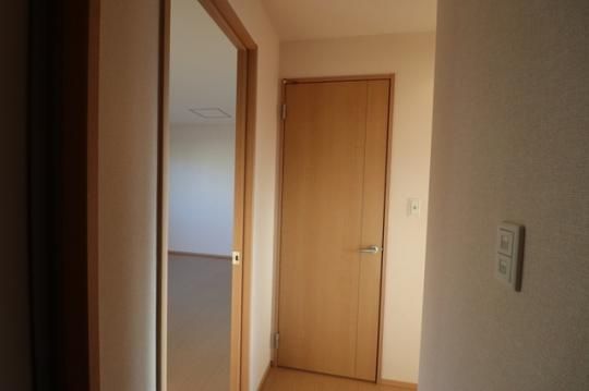 �y���̑��z�@203�@����