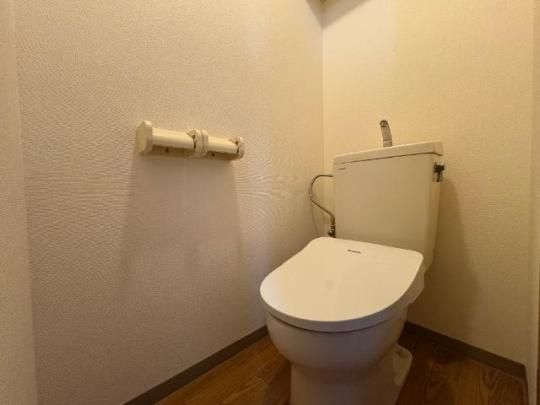 �y���̑��z�@�V�����[�t�g�C��