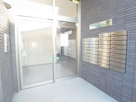 �y�����O�ρz�@�G���g�����X