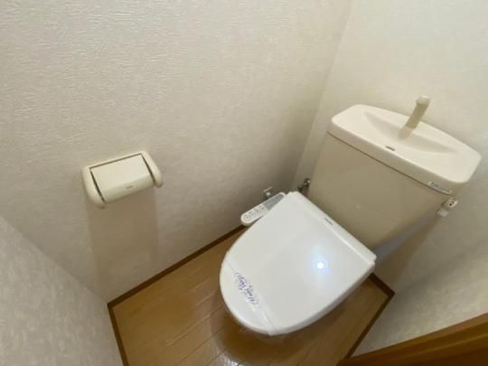 �y���̑��z�@�g�C��