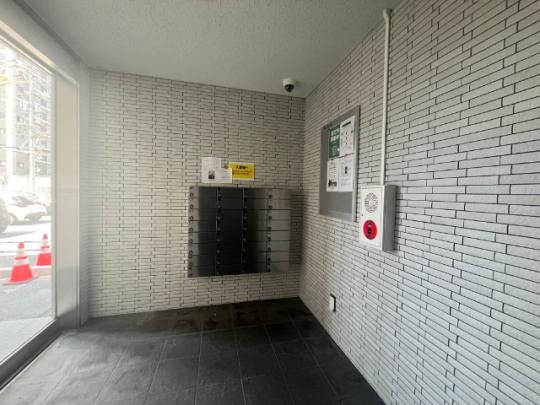 �y�����O�ρz�@���r�[