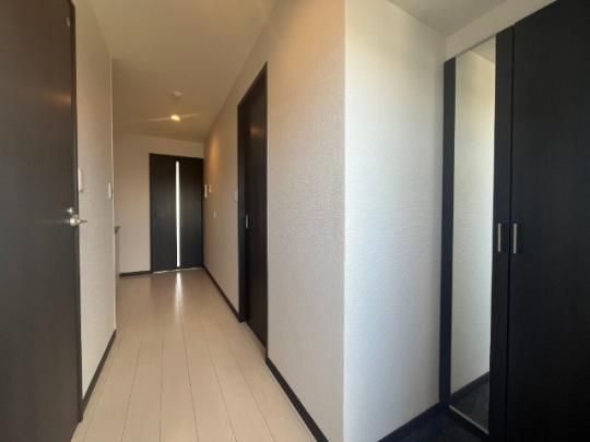 �y���̑��z�@���]�^�C�v�������D��