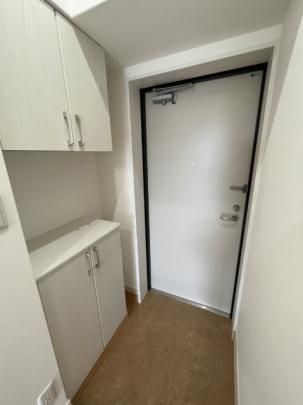 �y���̑��z�@���^�^�C�v�������D��