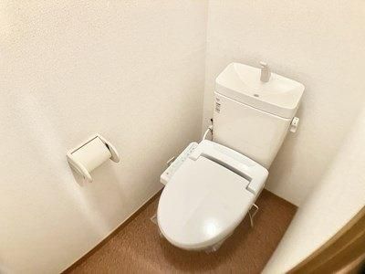 �y���̑��z�@�g�C��