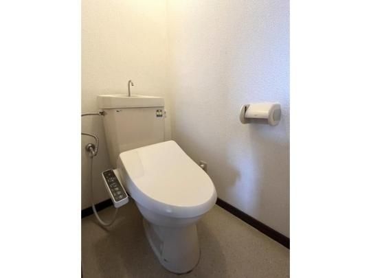 �y���̑��z�@�g�C��