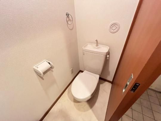 �y���̑��z�@�g�C��