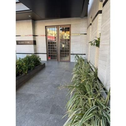 �y�����O�ρz�@�G���g�����X