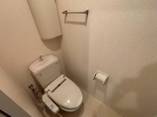 �y���̑��z�@�g�C��