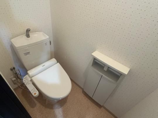 �y���̑��z�@�g�C��