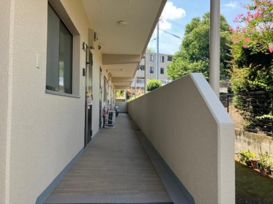 �y�����O�ρz�@�G���g�����X