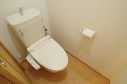 �y���̑��z�@�g�C��