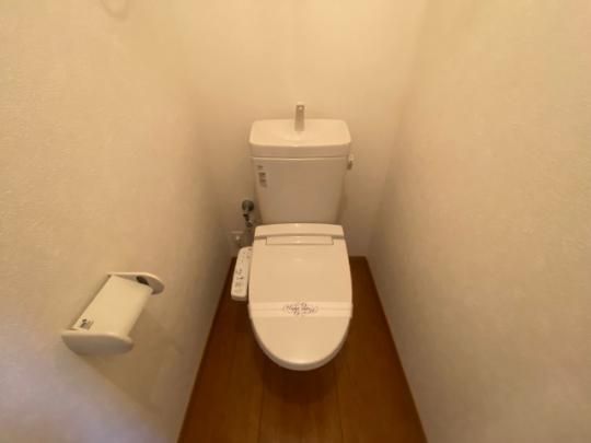 �y���̑��z�@�g�C��