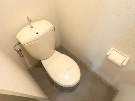 �y���̑��z�@�g�C��