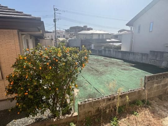 �y���̑��z�@�o���R�j�[