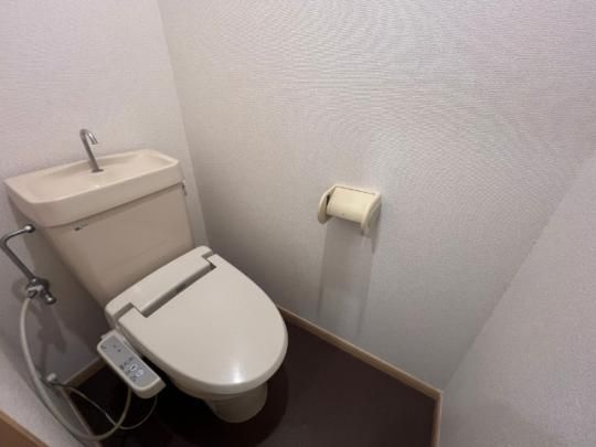 �y���̑��z�@�g�C��