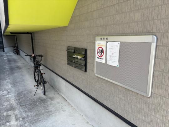 �y�����O�ρz�@�G���g�����X