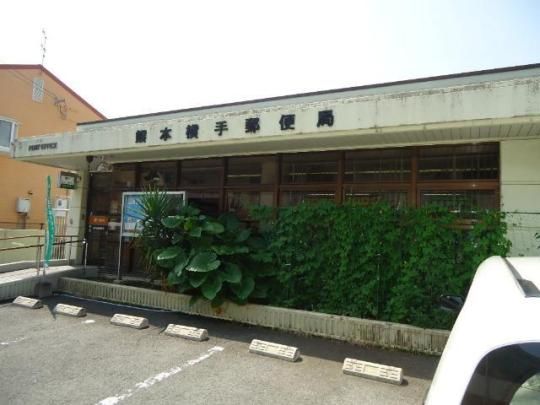 �y���Ӂz�@�F�{����X�֋ǁF295m