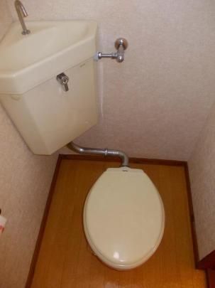 �y���̑��z�@�g�C��