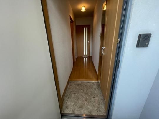 �y���̑��z�@���^�^�C�v