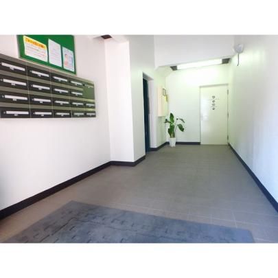 �y�����O�ρz�@�G���g�����X