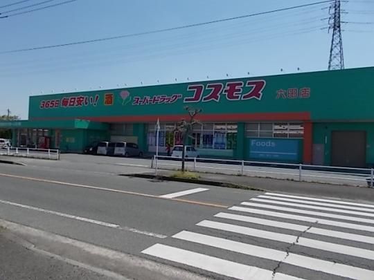 【周辺】　コスモス　六田店：650m