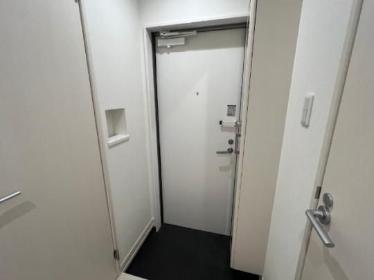 �y���̑��z�@�ʍ����̎ʐ^�ł�