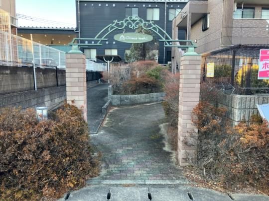 �y�����O�ρz�@�G���g�����X