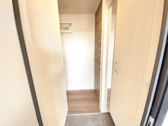 �y���̑��z�@202����