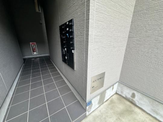 �y�����O�ρz�@���r�[