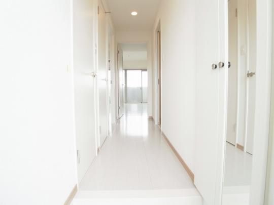 �y���̑��z�@���^�^�C�v