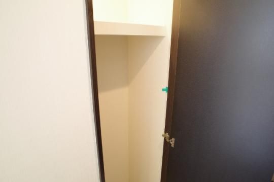 �y���̑��z�@���^�^�C�v�������D��