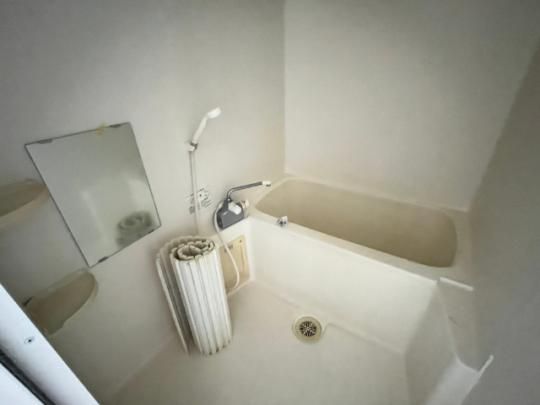 �y���̑��z�@���^�^�C�v�������D��