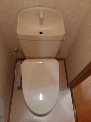 �y���̑��z�@�g�C��