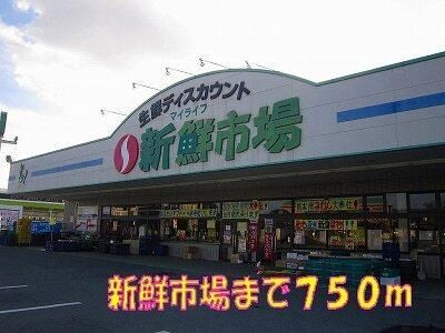 yӁz@VNsF750m