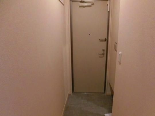 �y���̑��z�@����