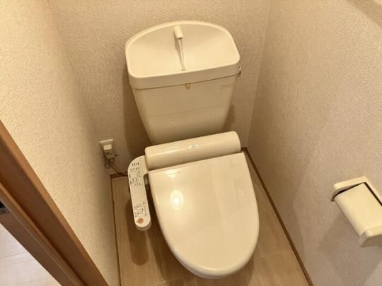 �y���̑��z�@�������g�[�֍�