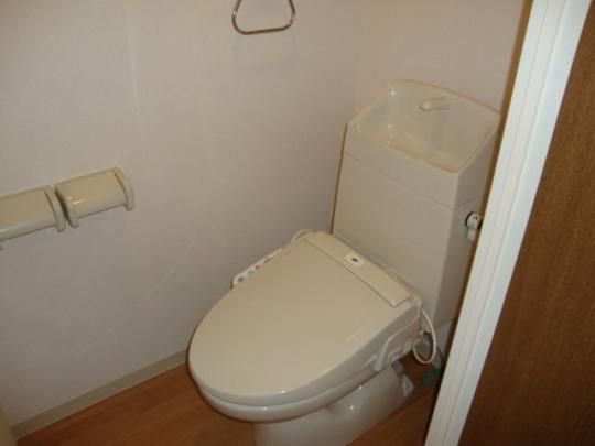 �y���̑��z�@�V�����[�t�g�C��